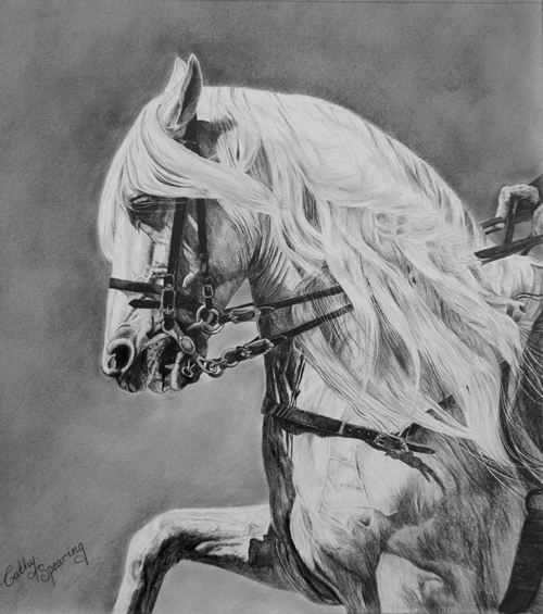 caballo espanol
